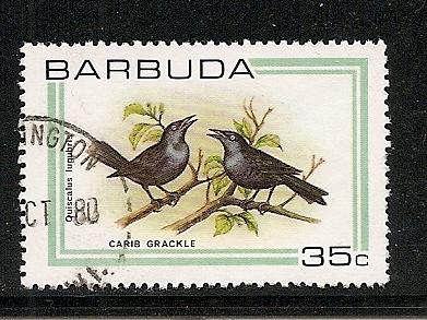 Barbuda  1980 bird stamp used scott # 439