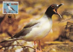 Ecuador 1992 Maxicard Sc #1284 100s Swallow-tailed gull WWF