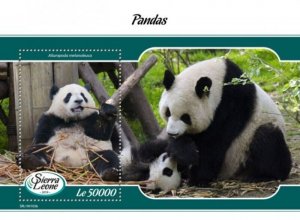 Sierra Leone - 2019 Panda Bears - Stamp Souvenir Sheet - SRL190102b