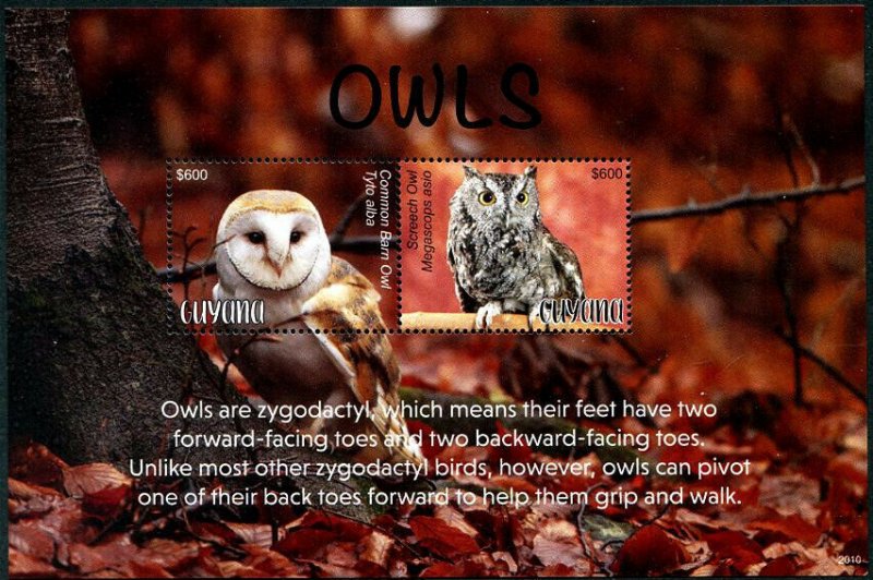 HERRICKSTAMP NEW ISSUES GUYANA Owls Souvenir Sheet