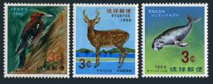 RyuKyu 140-142,MNH. Nature conservation 1966.Woodpecker,Sika Deer,Dugong.