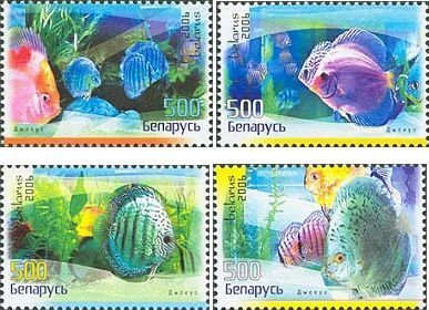 Belorussia Belarus Weissrussland 2006 Aquarium fishes set of 4 stamps MNH