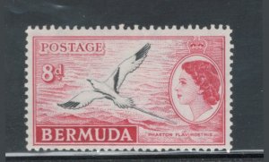 Bermuda 1953 Queen Elizabeth II & Tropical Bird 8p Scott # 148 MNH