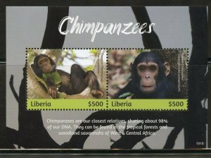 LIBERIA  2019  CHIMPANZEE SOUVENIR SHEET MINT NEVER HINGED