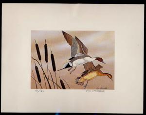 SOUTH DAKOTA  #2 1977  DUCK STAMP PRINT PINTAILS  Don Steinbeck Ed size: 150