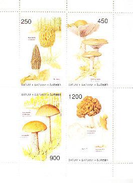 Mushrooms - Batum Russia 1997 Sheetlet