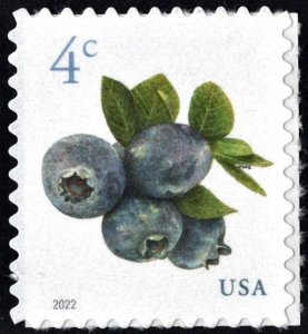 SC#5652 4¢ Blueberries Sheet Single (2022) SA