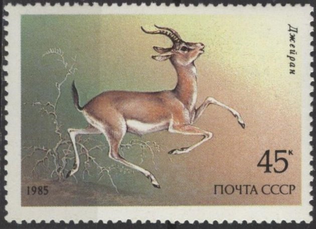 Russia 5392 (mnh) 45k endangered wildlife: gazelle (1985)