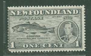 Newfoundland #233v  Single