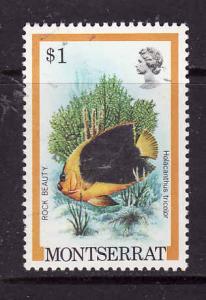 Montserrat-Sc#455-unused NH $1 Rock Beauty-Fish-1981-