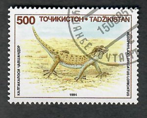 Tajikistan #74 Lizard used single