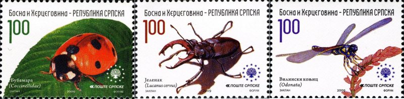 Bosnia and Herzegovina Srpska 2009 MNH Stamps Scott 370-372 Insects Ladybird