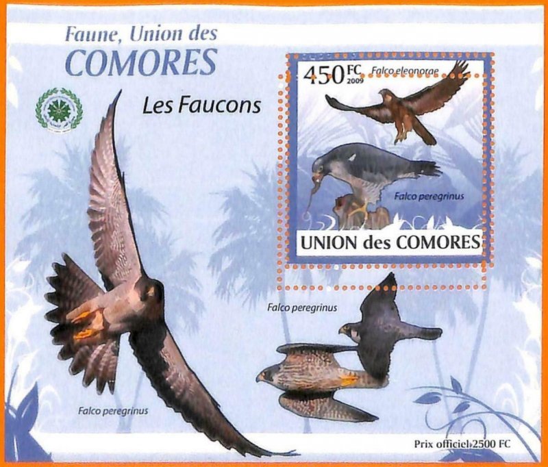 A5588 - COMOROS - ERROR, 2009, MISPERF SOUVENIR SHEET: Birds, Falcons