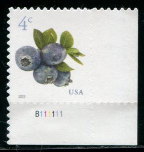 5652 US 4c Blueberries SA, MNH PNS