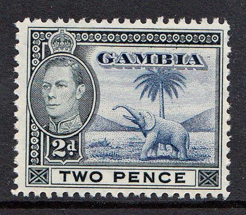 Gambia Elephant 1938 GVI 2d SG153 Mint Never Hinged