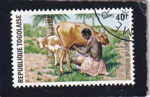 Togo     #    891     used
