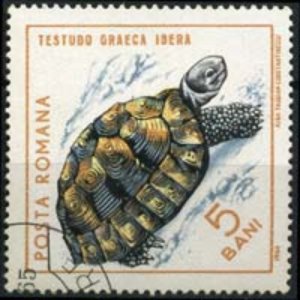 ROMANIA 1965 - Scott# 1719 Greek Tortoise 5b LH