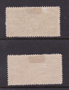 Fiume x 2 MH Express stamps