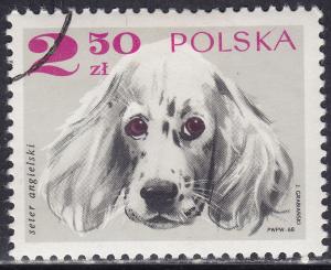 Poland 1640 English Setter 2.50zł 1969