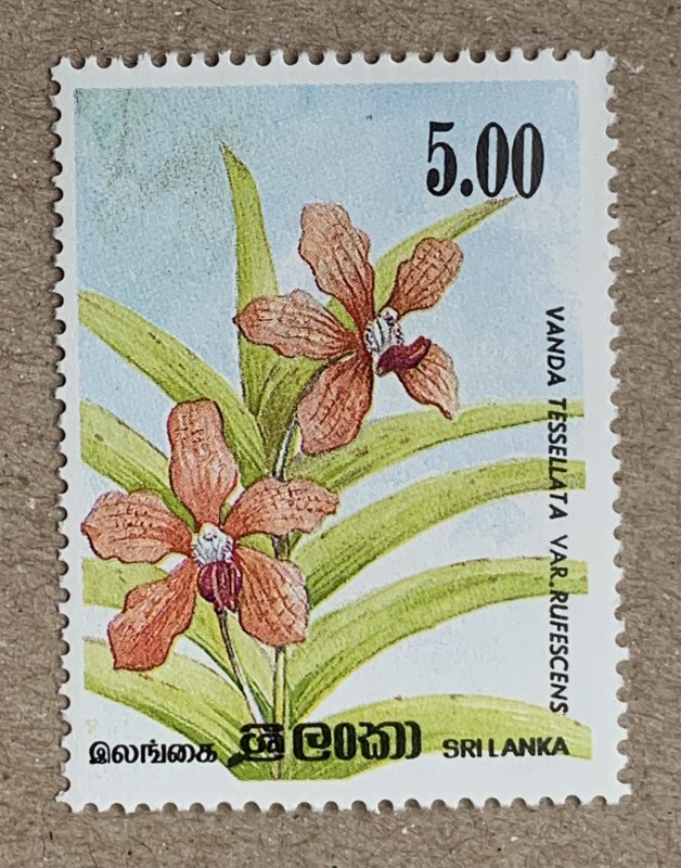 Sri Lanka 1984 5R Orchid perf 14, MNH. Scott 724 variety. SG 868