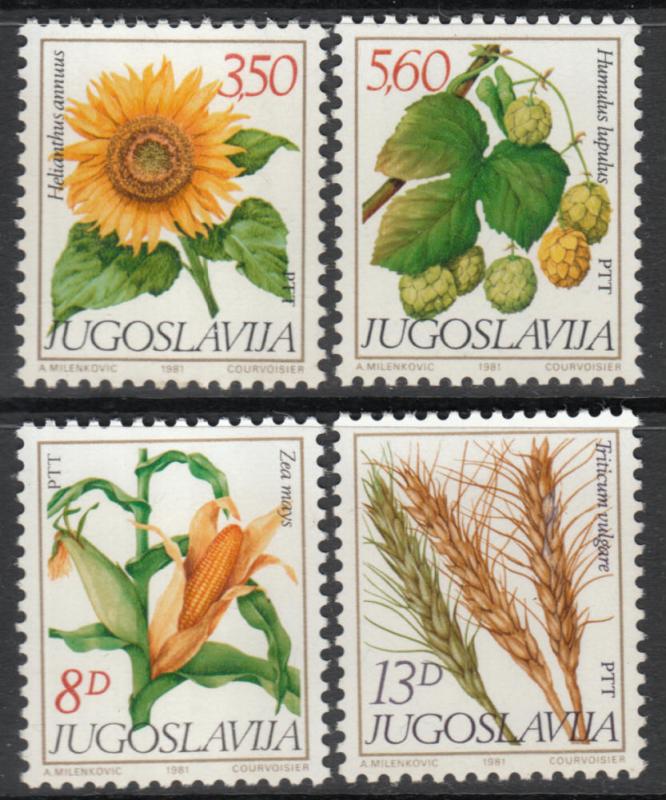 Yugoslavia 1981 Plants Flowers Nature Sunflower Flora Flower Plant Stamps MNH