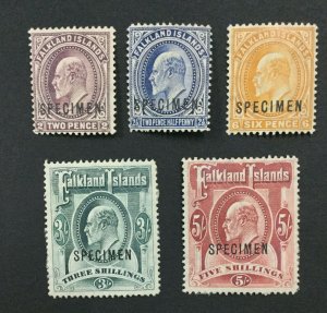 MOMEN: FALKLAND ISLANDS SG #45s-50s SPECIMEN 1904 MINT OG 3H/2NG LOT #191796-352