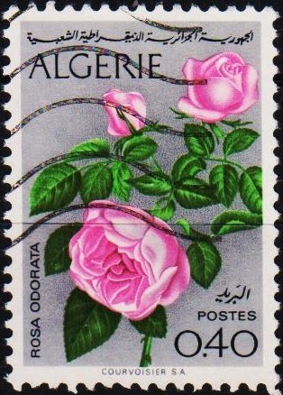 Algeria. 1973 40c S.G.622 Fine Used