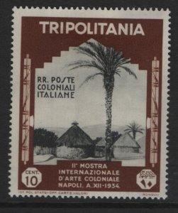 TRIPOLITANIA, 74  MINT HINGED ALBUM PULL