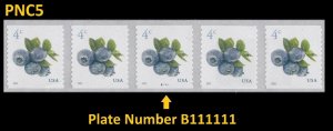 US 5653 Blueberries 4c PNC5 B111111 MNH 2022 