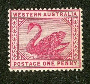 5151 BCX  1899 West Australia Sc.# 73 mlh* cv $7.75 ( Offers welcome )