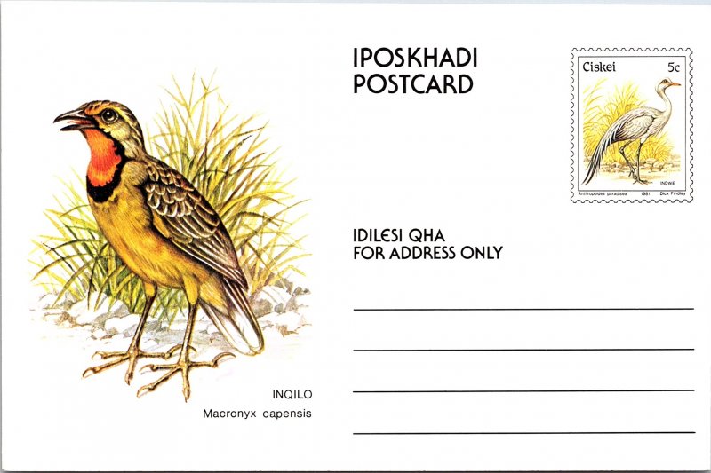 Ciskei, Government Postal Card, Birds