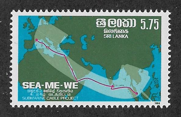 805,MNH