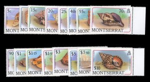 Montserrat #681-696S, 1988 Shells, complete set, overprinted Specimen, never ...