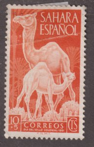 Spanish Sahara B17  Camels 1951