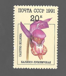 CCCP 1991 - MNH - Scott #5997 *