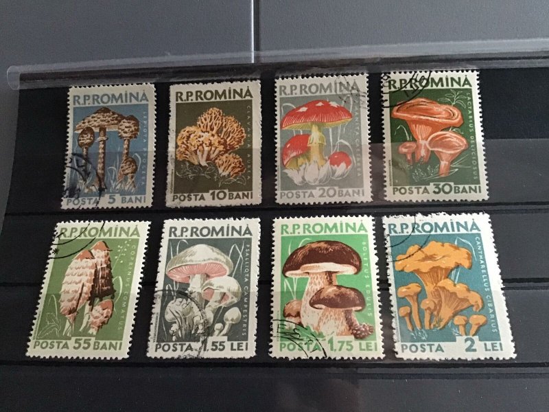 Romania 1957 Fungus used Stamps  R23300