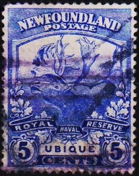 Newfoundland. 1919 5c  S.G.134 Fine Used