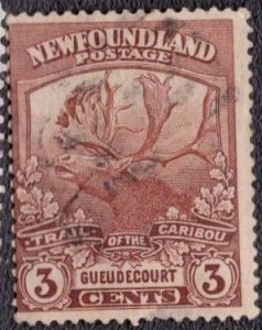 Canada Newfoundland - 117 1919 Used