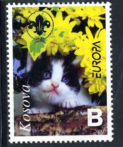 Kosovo 2000 DOMESTIC CAT Scouts emblem 1 value Perforated Mint (NH)