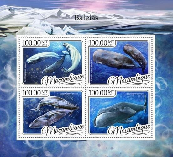 Mozambique MNH S/S Whales 2016 4 Stamps