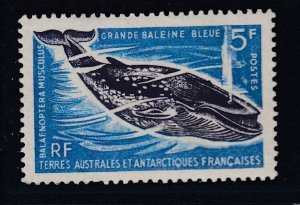 French Southern and Antarctic Territories - Scott #25 - MNH