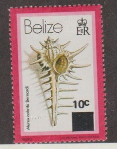 Belize Scott #423 Stamp - Mint Single