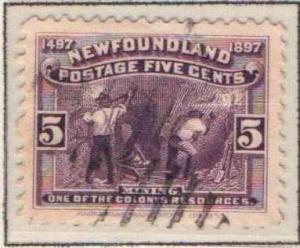 Newfoundland 65 - Used