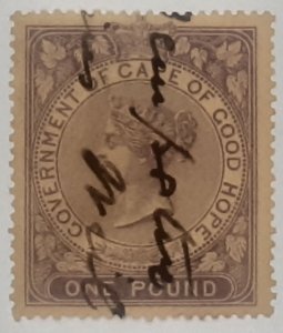 Cape of good hope  revenue 1876  1  pound