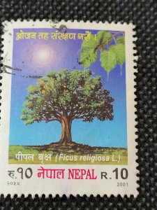 NEPAL Ficus Tree  2001 ,10r, SCV $1.40