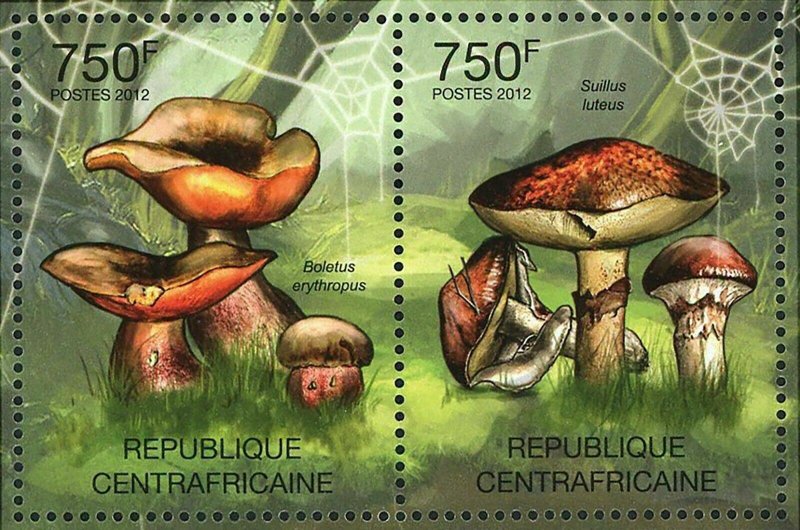 Mushrooms Stamp Boletus Erythropus Suillus Grevillei Calopus S/S MNH #3612-3615 