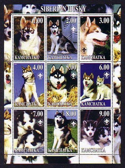 Kamchatka, 2000 Russian Local. Siberian Husky sheet of 9. ^