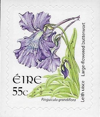 Ireland - 1865 - Large-flowered Butterwort 55ct. - S/A