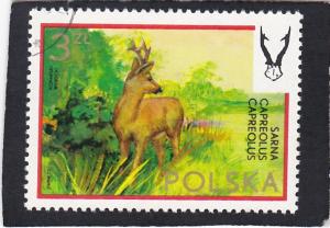 POLAND,  #  1975    used