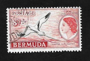 Bermuda 1955- U - Scott #153